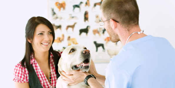 Veterinary Clinic Delivers Urgent Care for Pets: Affordable and Convenient
